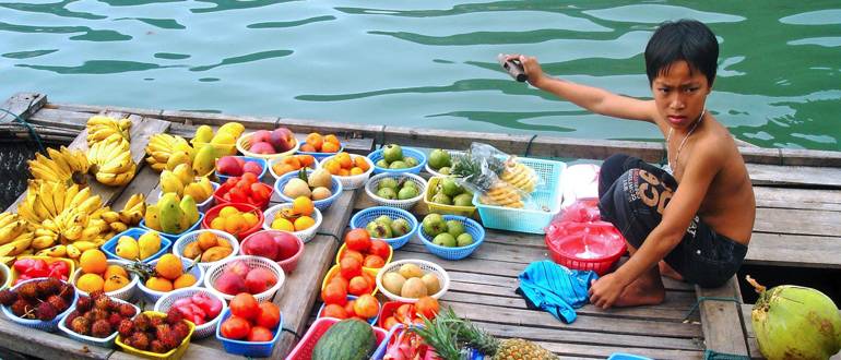 Что можно вывозить из Вьетнама, подробности здесь Что можно вывозить из Вьетнама