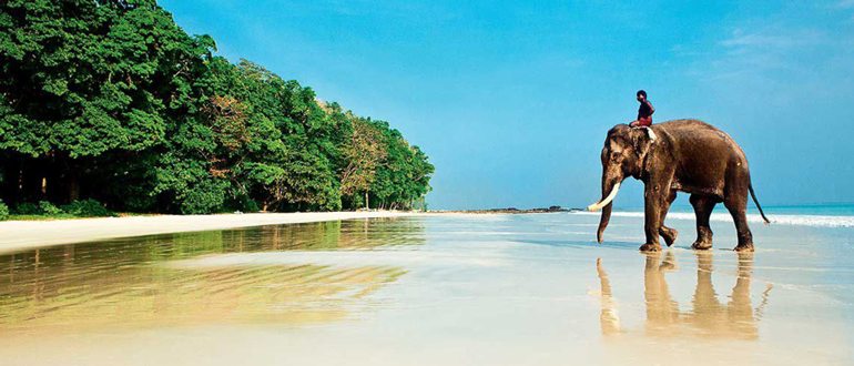 Индия что посмотреть на Гоа: самостоятельный осмотр, достопримечательности Индия что посмотреть на Гоа