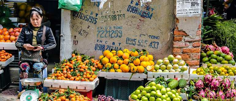 Фрукты Вьетнама названия, описание, полезность Фрукты Вьетнама названия