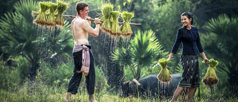 Работа и вакансии во Вьетнаме для русских работа во вьетнаме для русских