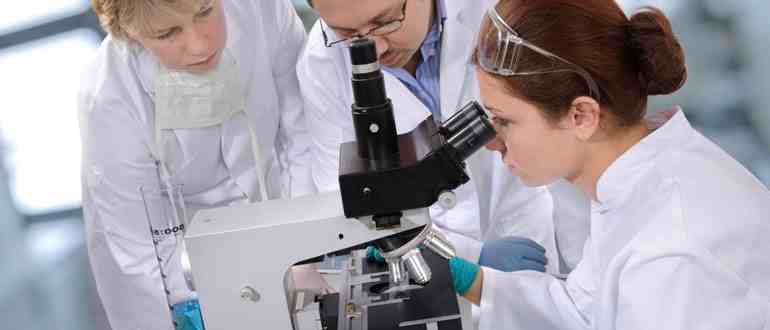 Исследователь кто это