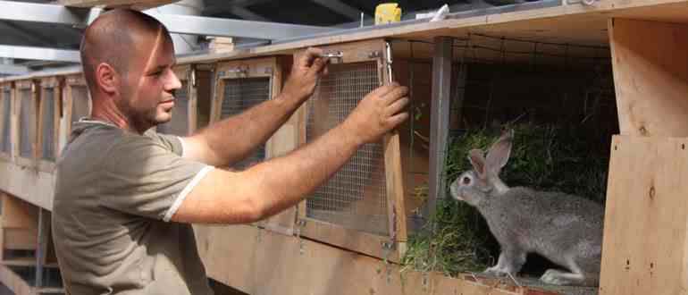 Кроликовод кто это