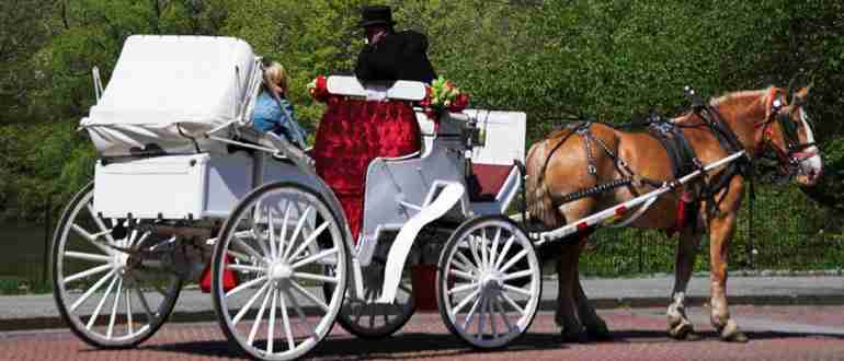 Кучер кто это такой