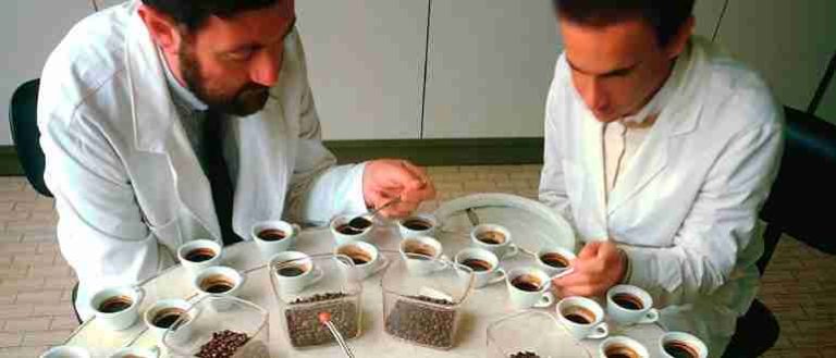 Купажист кто это такой и что он делает обязанности