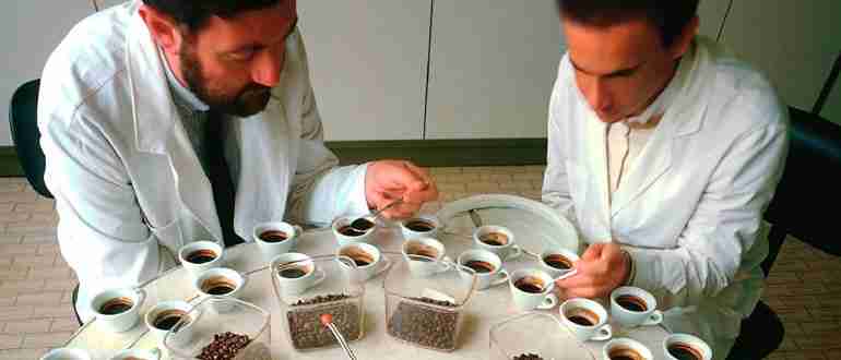 Купажист кто это такой