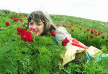 Где в России весной можно увидеть невероятные цветочные пейзажи