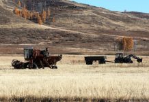 Кабмин упростил аграриям доступ к дешевым кредитам