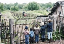 Павел Крашенинников: С 1 июня упростят оформление домов и дачных участков