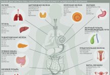 Регулярные анализы крови помогут раньше выявить рак