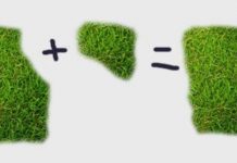 Законно ли увеличение площади участка при межевании?