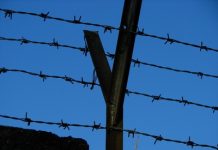 Виды колючей проволоки и их применение