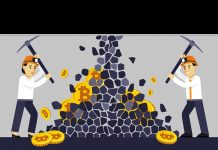 Money X: обзор от TellTrue