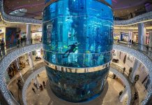 Перспективы торгово-развлекательных центров