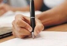 Почему стоит доверить эссе профессионалам?