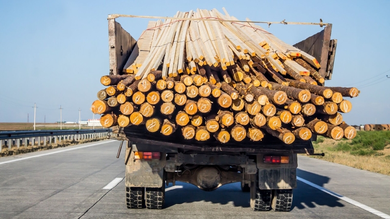 Цены на дрова в ФРГ выросли на 85,7 процента за год, сообщило статведомство