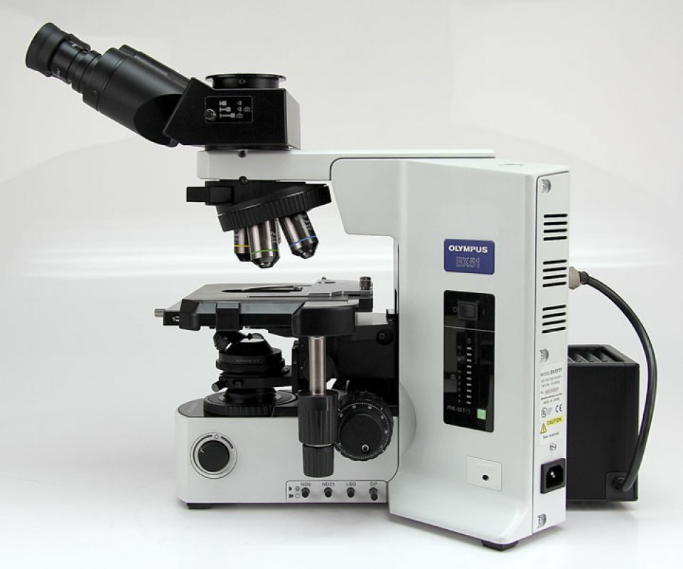 Для каких целей используют оптический микроскоп Olympus?