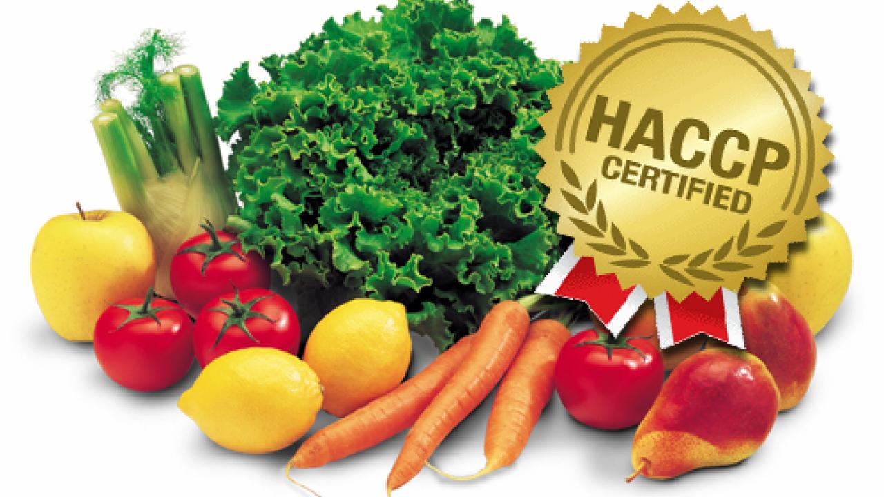 Контроль пищевой безопасности. Система пищевой продукции ХАССП. Безопасность продуктов. Сертификация пищевых продуктов. Качество продуктов.