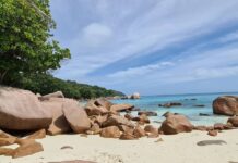 Отдых на Сейшелах: что учитывать при выборе тура