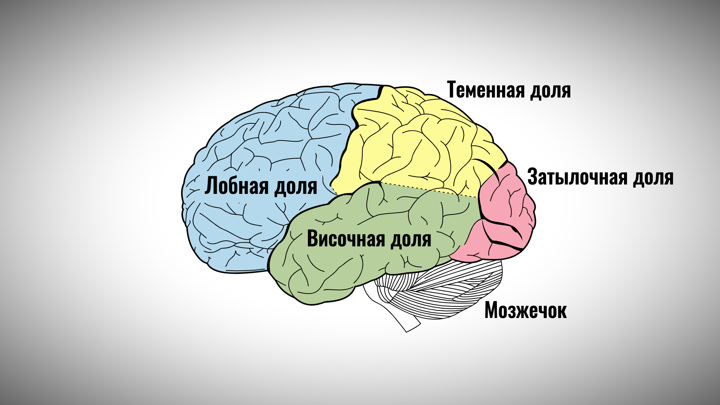 Что значит новый диагноз Брюса Уиллиса