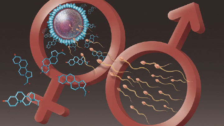 Таблетка для мужчин может "выключить" сперматозоиды на сутки