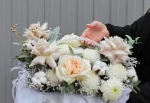 Vanilla: для цветов не нужен повод