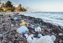 Последствия загрязнения мирового океана для человечества