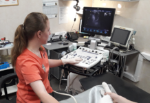 Особенности проведения узи диагностики животным