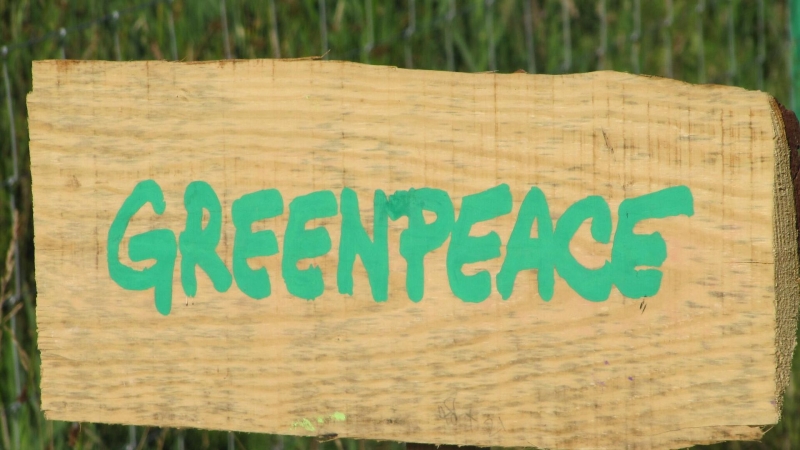 В России ограничили доступ к сайту Greenpeace