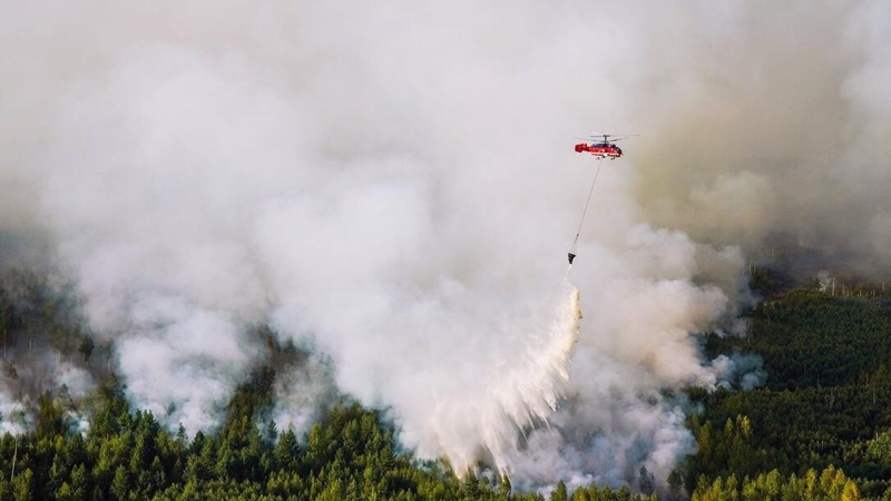 Госдума приняла закон о создании резерва сил охраны лесов от пожаров