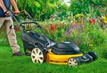 Газонокосилки: виды и особенности выбора