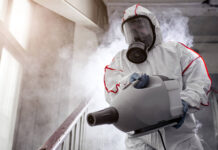 Уничтожение клопов холодным туманом