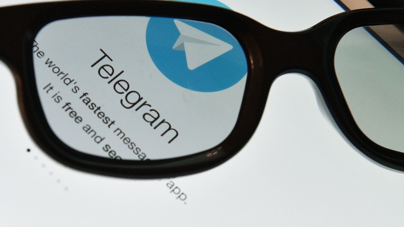 Экс-главред журнала Elle рассказала, как ее обманули в Telegram