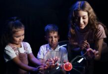 Что предлагает WOW-park для детей и взрослых