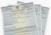 Зачем нужно оформление карантинных сертификатов