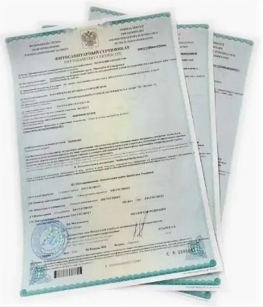 Зачем нужно оформление карантинных сертификатов
