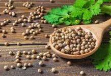 Погружение в аспекты использования кориандра в хлебе