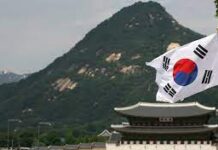 Почему стоит отправиться в Южную Корею на пароме