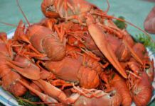 Секрет Популярности Вареных Раков в Москве