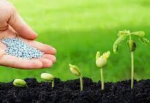 Почему стоит брать удобрения оптом