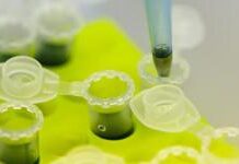 Зачем нужна разработка паспорта безопасности химической продукции