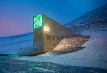 Банк семян — внимание, генетическая эрозия! Сохранение растительных видов для будущих поколений