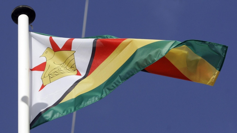 В Зимбабве ввели новую национальную валюту