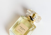 Ароматизатор для автомобиля премиум: роскошь и комфорт в каждой поездке