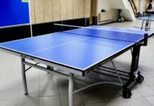 Теннисные столы: виды, характеристики и выбор для разных видов спорта