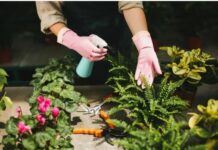 Как может помочь памятка по уходу за цветами