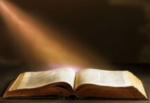 Топ-5 книг по биологии для тех, кто хочет углубить свои знания в науке о жизни