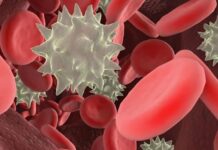 Заболевания крови: классификация, симптомы и методы лечения