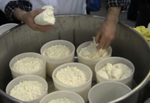 Процесс производства сыра и основные компоненты