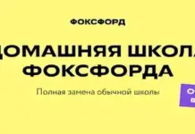 Дистанционное обучение в старших классах интернет-школы: возможности и перспективы
