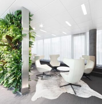 Озеленение помещений искусственными растениями Озеленение помещений искусственными растениями